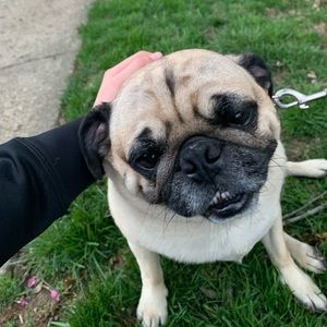 Meet your Posher, Joelle